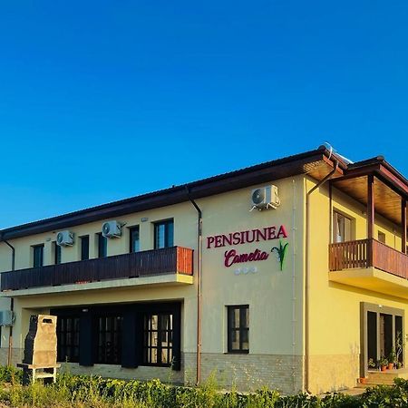 Pensiunea Camelia Moldvabánya Kültér fotó