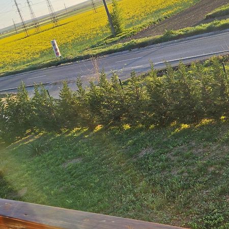 Pensiunea Camelia Moldvabánya Kültér fotó