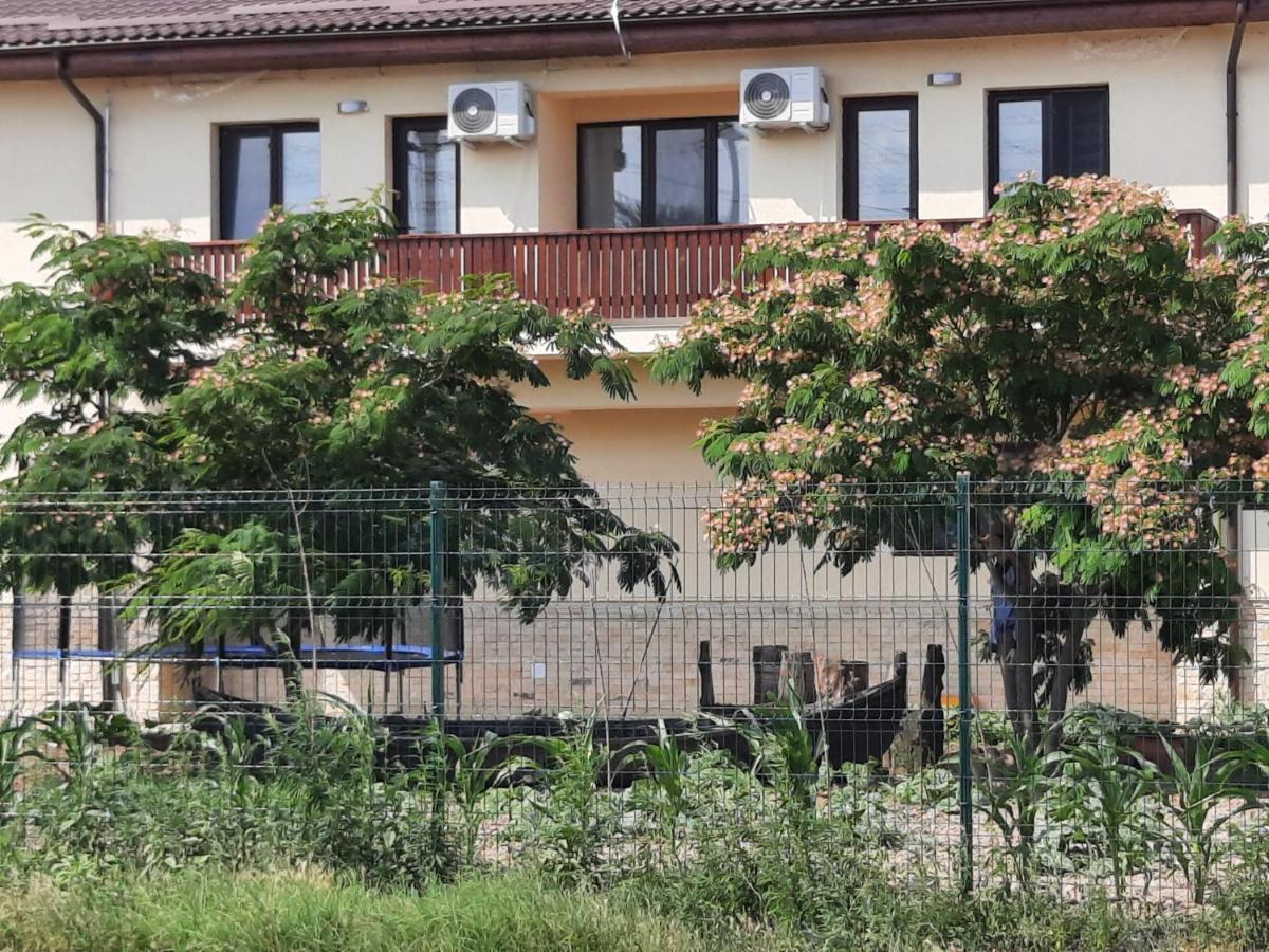 Pensiunea Camelia Moldvabánya Kültér fotó