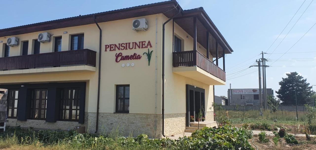 Pensiunea Camelia Moldvabánya Kültér fotó