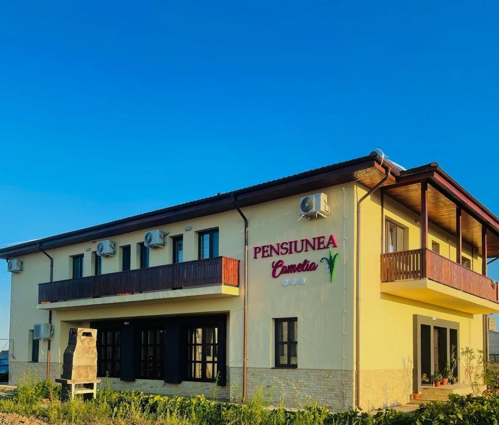 Pensiunea Camelia Moldvabánya Kültér fotó