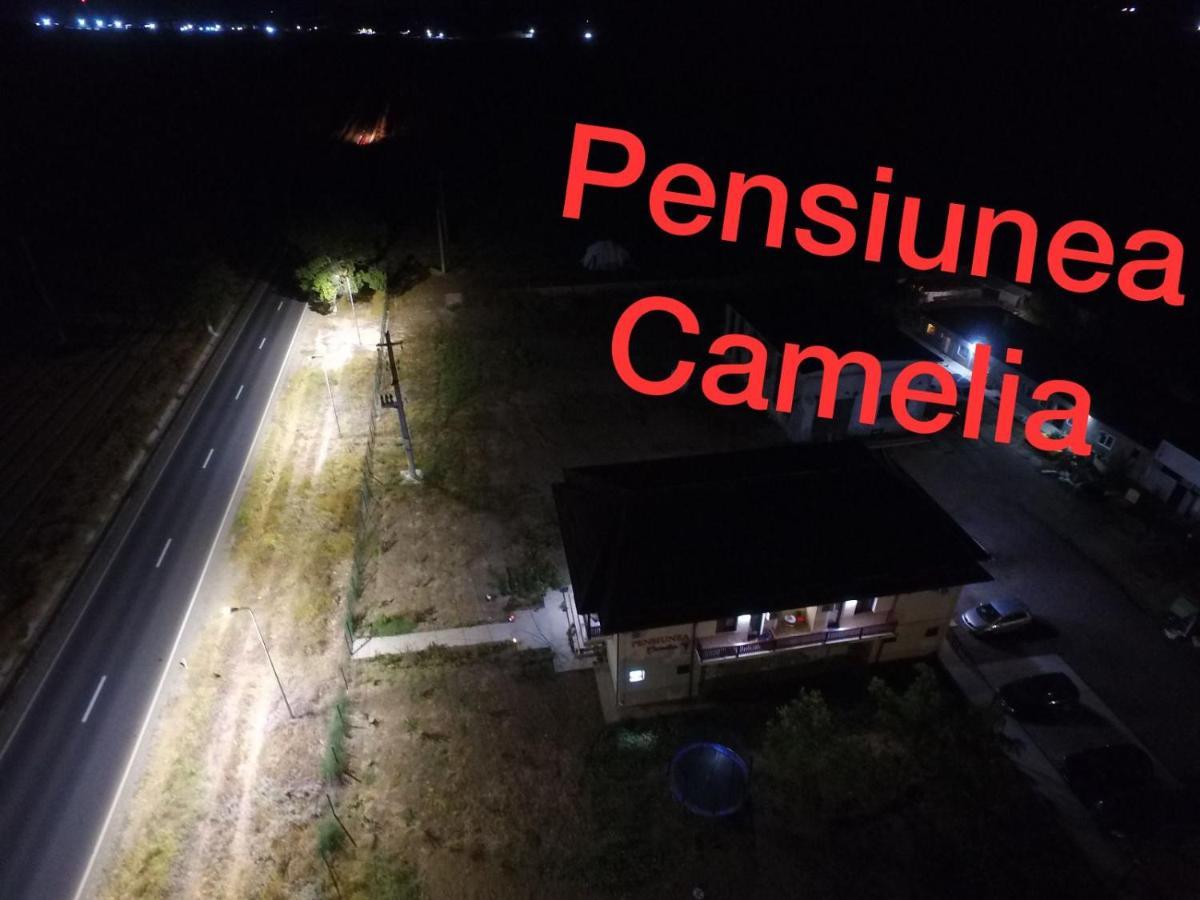 Pensiunea Camelia Moldvabánya Kültér fotó