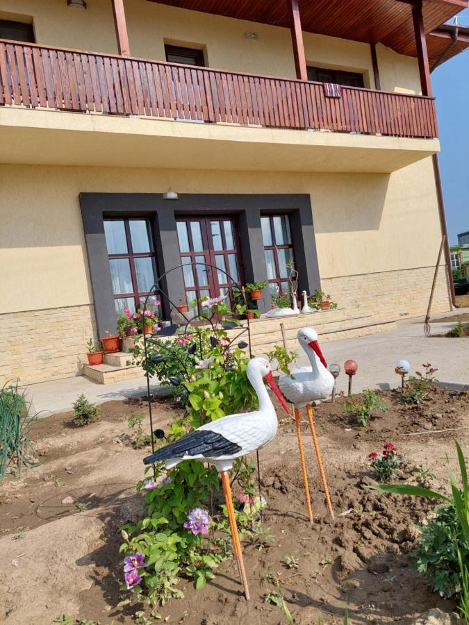 Pensiunea Camelia Moldvabánya Kültér fotó