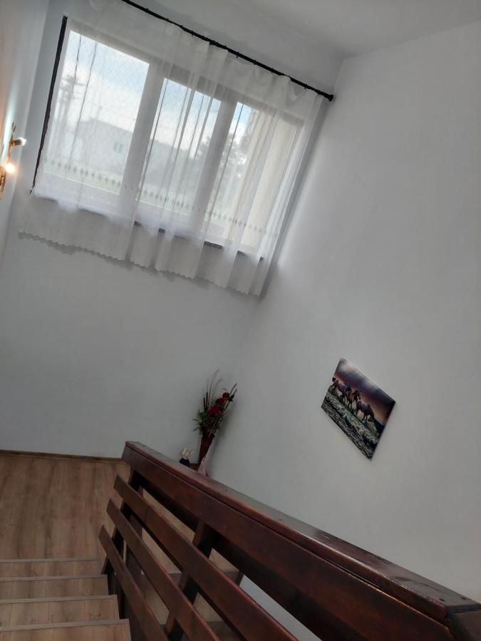 Pensiunea Camelia Moldvabánya Kültér fotó