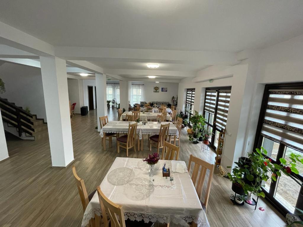 Pensiunea Camelia Moldvabánya Kültér fotó